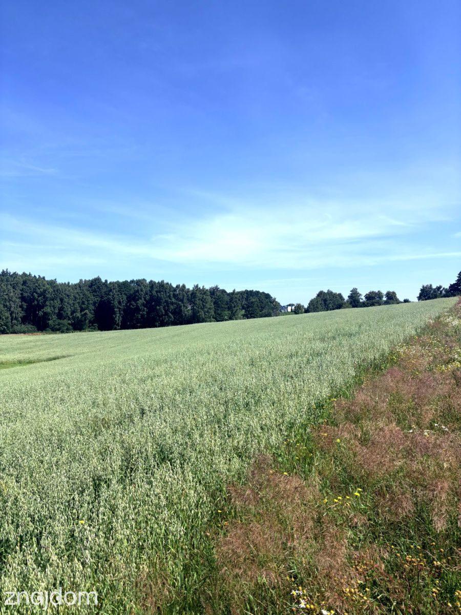 Urokliwa działka- sąsiedztwo jeziora i lasu - zdjęcie 4