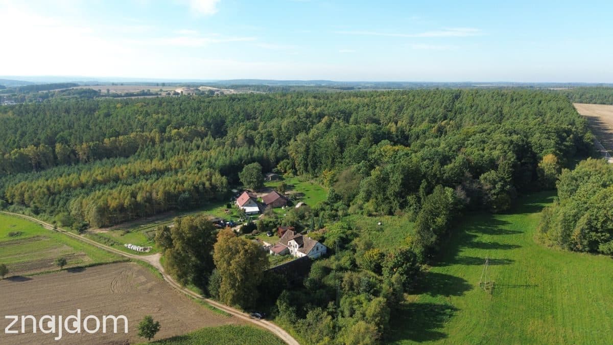 Działka siedliskowa 3 236m2  z zabudową - zdjęcie 4