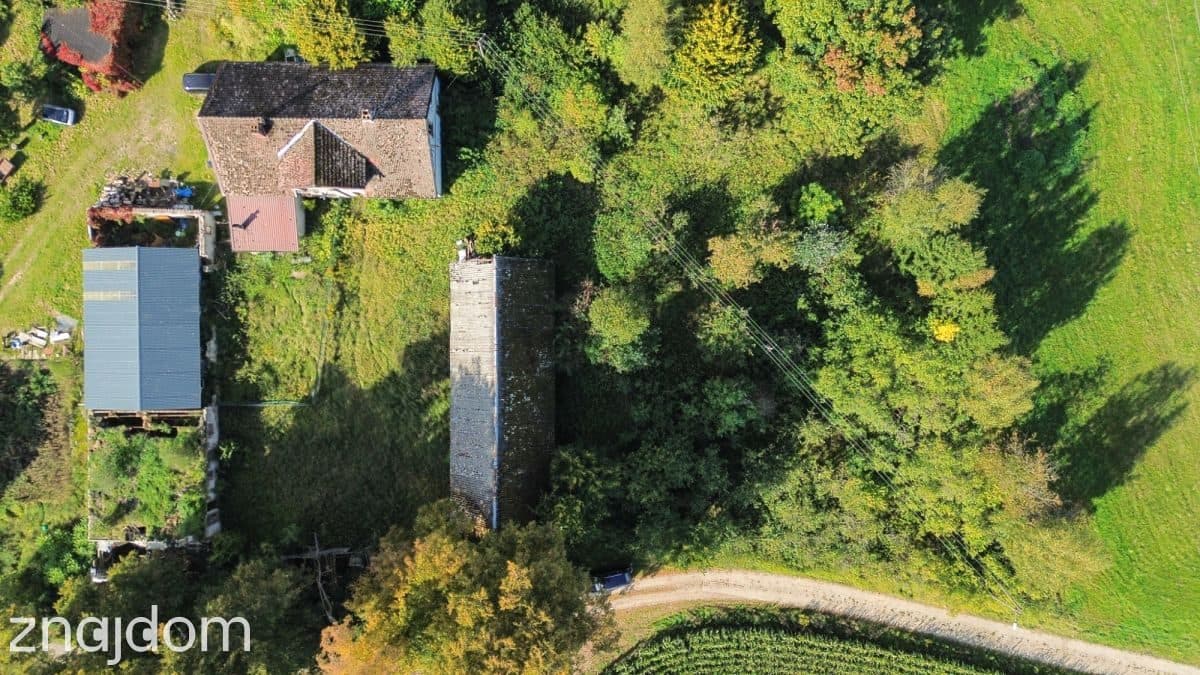 Działka siedliskowa 3 236m2  z zabudową - zdjęcie 2