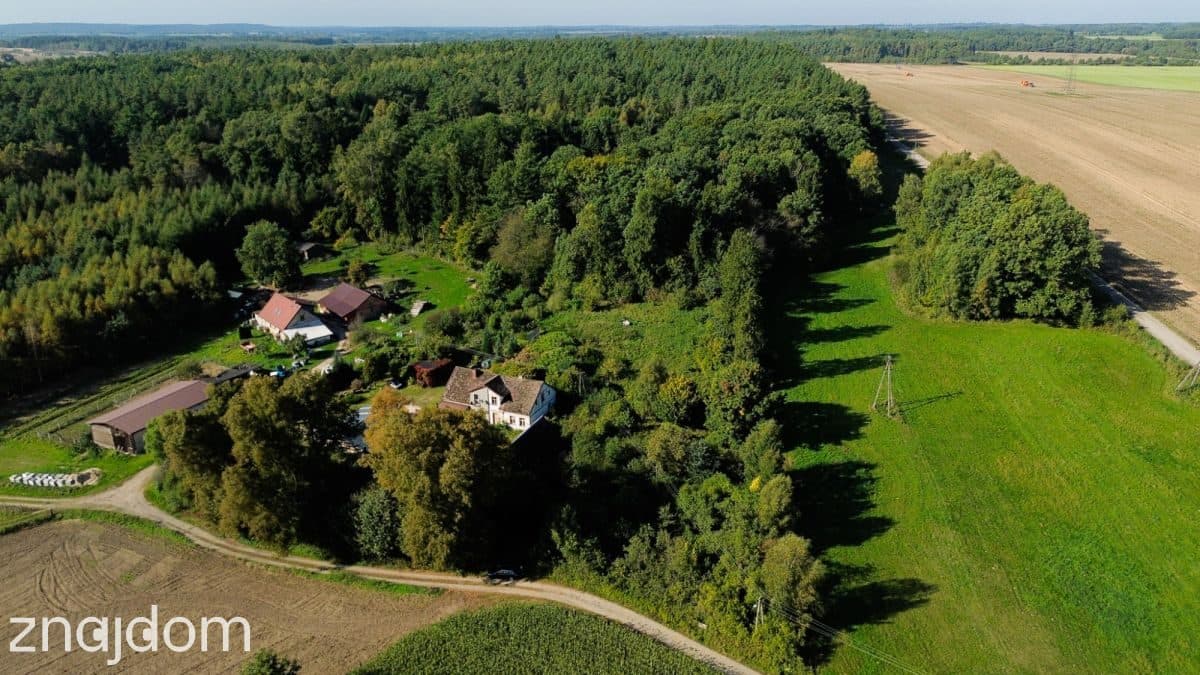 Działka siedliskowa 3 236m2  z zabudową - zdjęcie 5