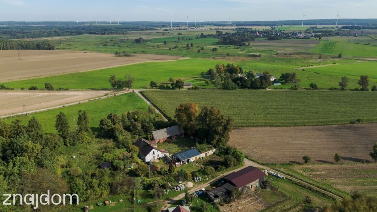 Działka siedliskowa 3 236m2  z zabudową - zdjęcie 3