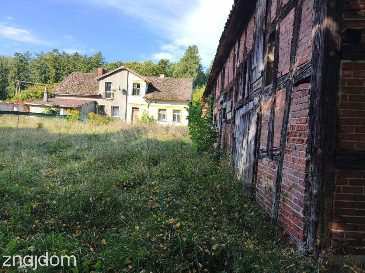 Działka siedliskowa 3 236m2  z zabudową - zdjęcie 6