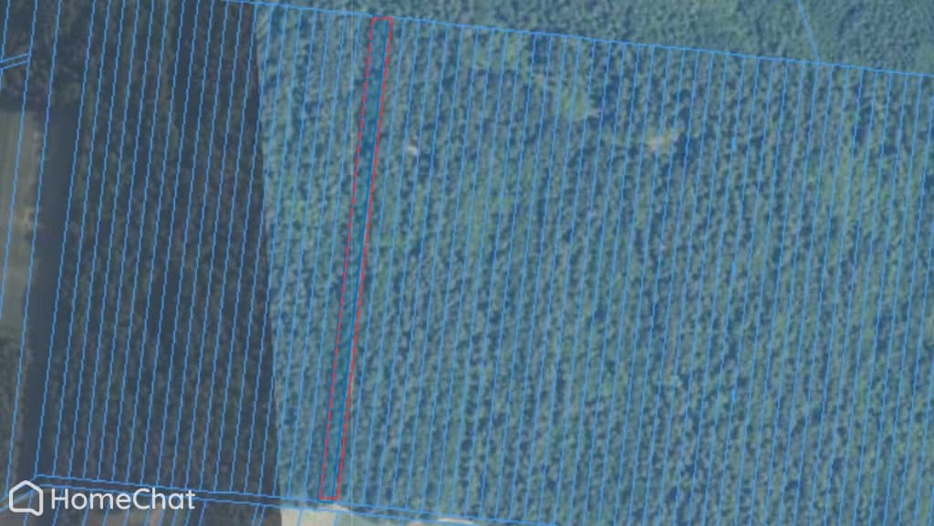 Działka leśna, 0.61ha, drzewostan 50+, Spiczyn