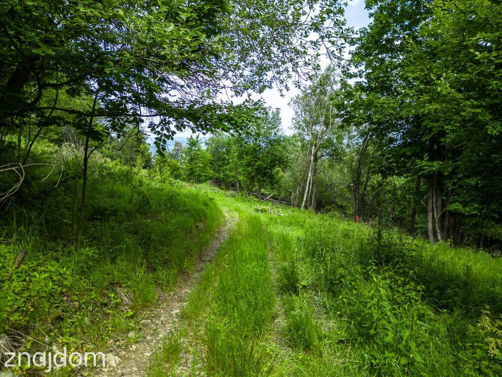 Stryszawa | teren inwestycyjny 1,22 ha | 63 ar MN! - zdjęcie 5