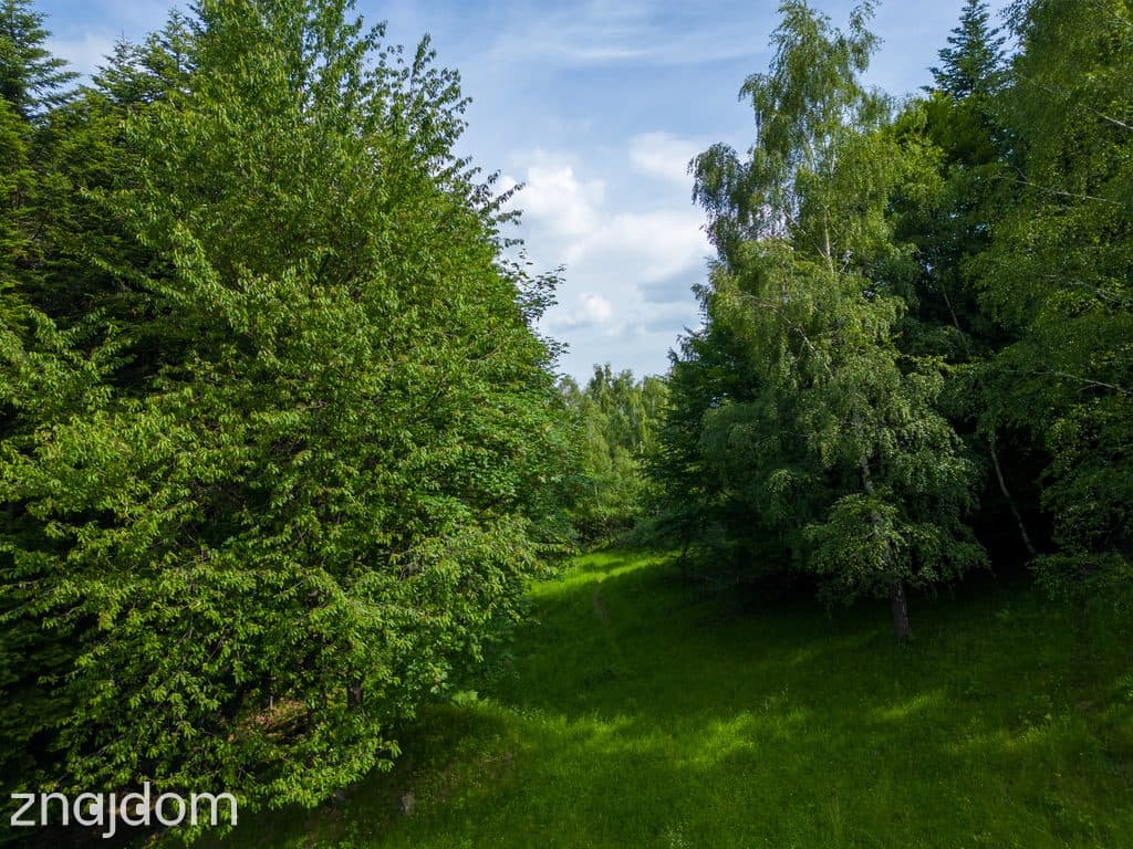 Stryszawa | teren inwestycyjny 1,22 ha | 63 ar MN! - zdjęcie 7