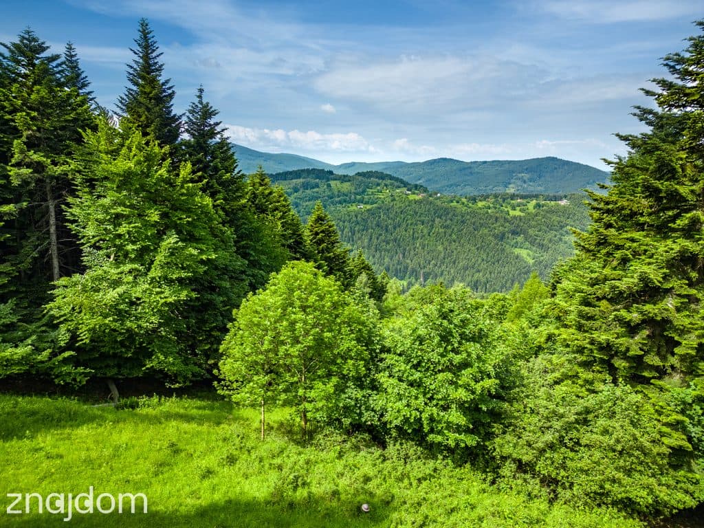 Stryszawa | teren inwestycyjny 1,22 ha | 63 ar MN! - zdjęcie 8