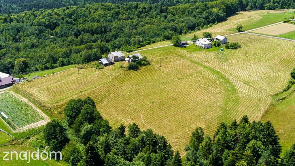 Działka rolno-leśna- Żurowa- Małopolska - zdjęcie 7