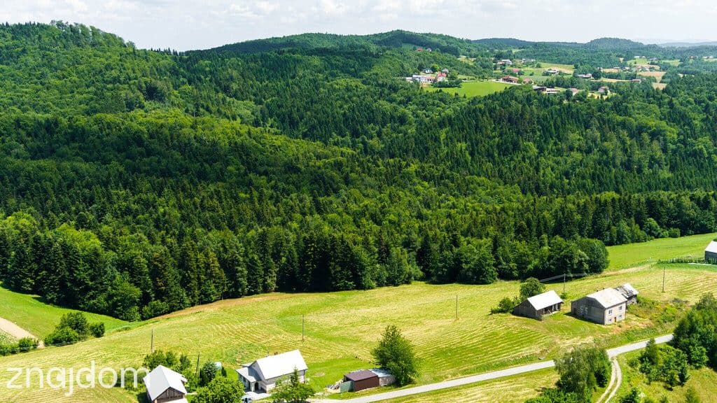 Działka rolno-leśna- Żurowa- Małopolska