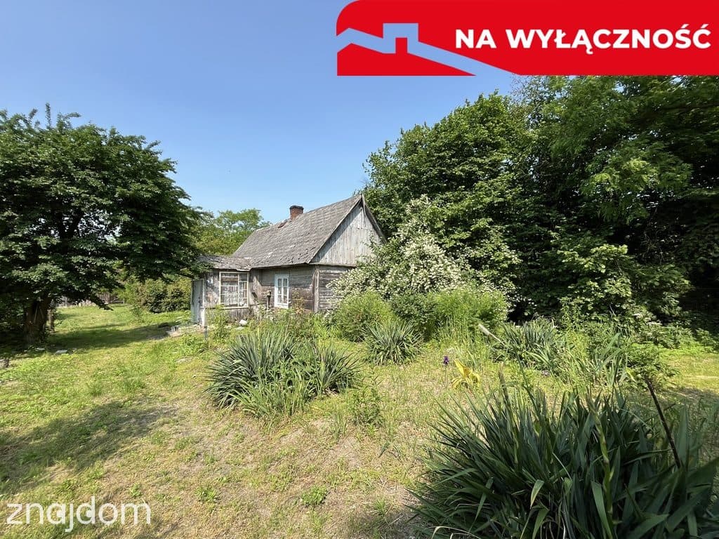 Siedlisko w Kaliszanach Kolonii gm. Józefów - zdjęcie 2