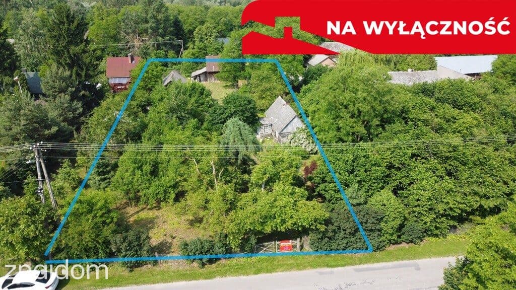Siedlisko w Kaliszanach Kolonii gm. Józefów - zdjęcie 3
