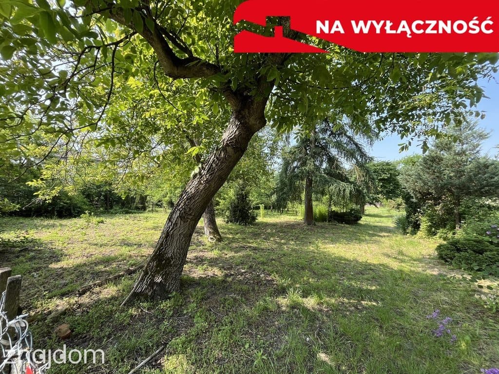 Siedlisko w Kaliszanach Kolonii gm. Józefów - zdjęcie 5