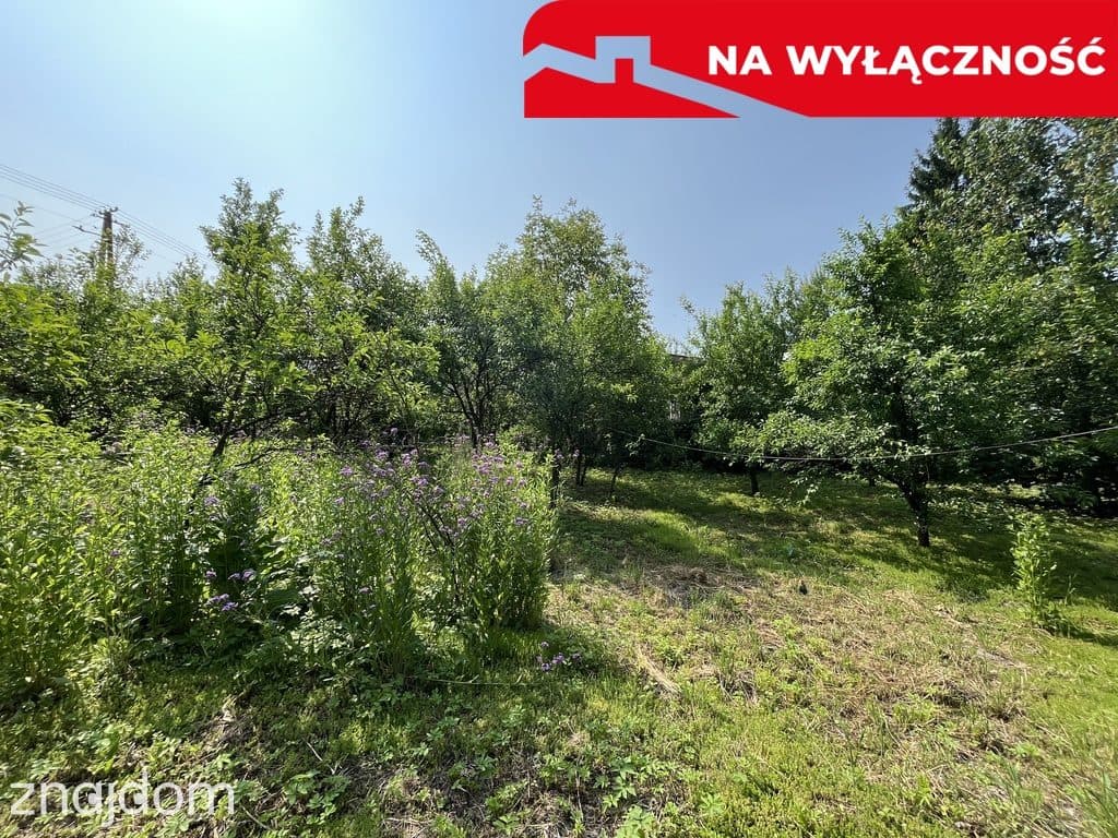 Siedlisko w Kaliszanach Kolonii gm. Józefów - zdjęcie 6