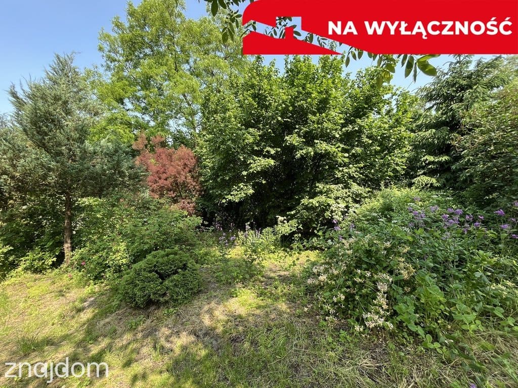 Siedlisko w Kaliszanach Kolonii gm. Józefów - zdjęcie 7