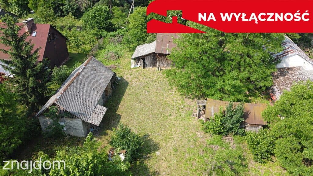 Siedlisko w Kaliszanach Kolonii gm. Józefów - zdjęcie 8