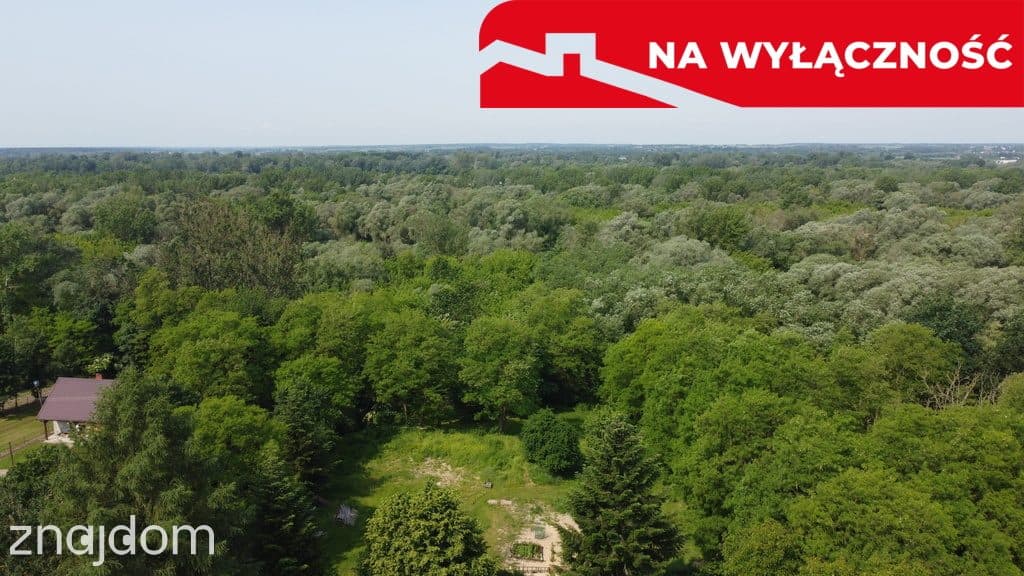 Siedlisko w Kaliszanach Kolonii gm. Józefów - zdjęcie 10