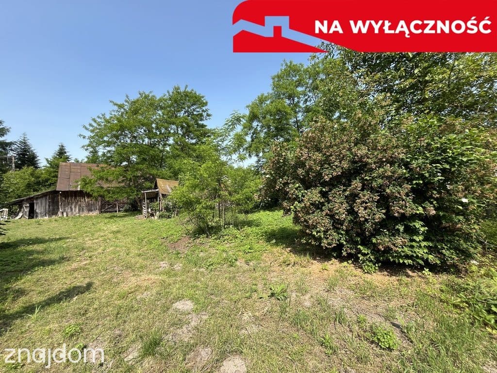 Siedlisko w Kaliszanach Kolonii gm. Józefów - zdjęcie 11