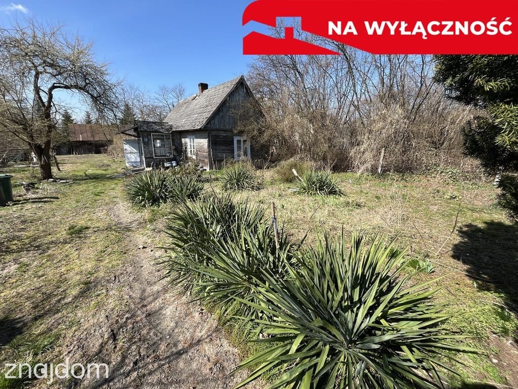 Siedlisko w Kaliszanach Kolonii gm. Józefów - zdjęcie 12