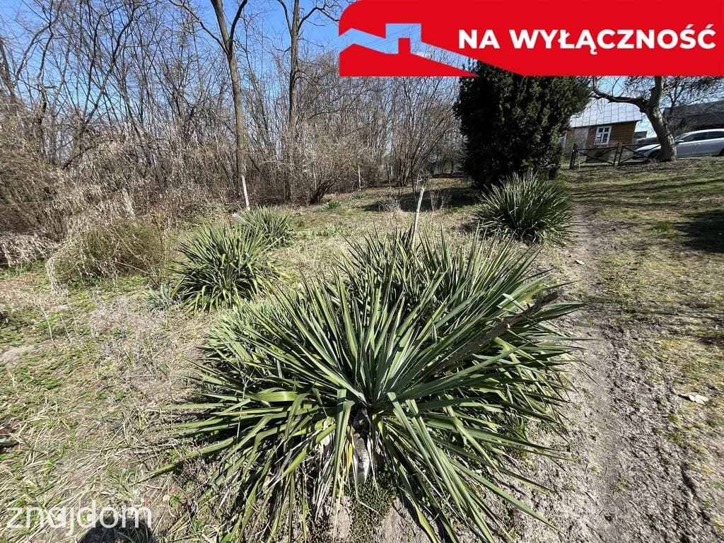 Siedlisko w Kaliszanach Kolonii gm. Józefów - zdjęcie 20