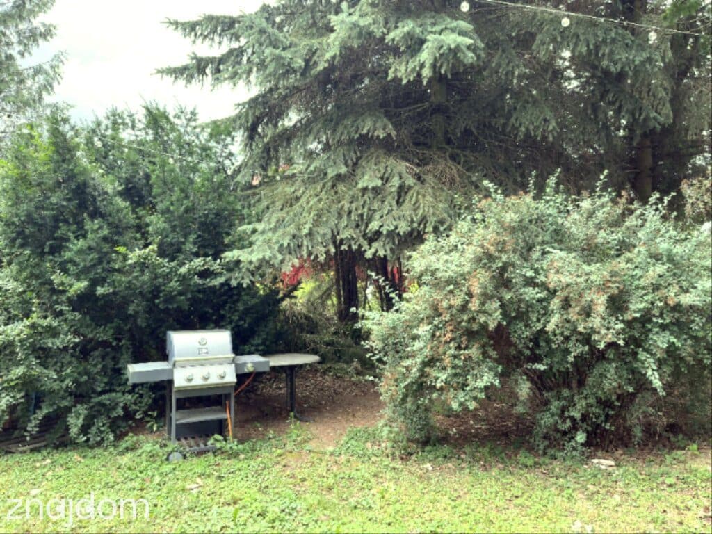 Atrakcyjna lokalizacja - 6km od granic miasta - zdjęcie 13