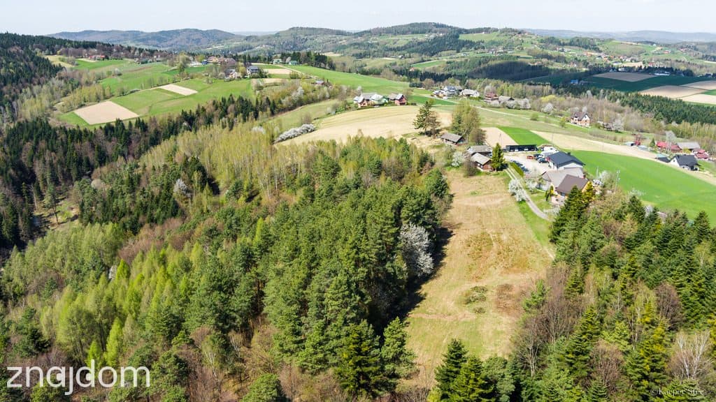 Na sprzedaż gospodarstwo rolne w Jastrzębi - zdjęcie 3