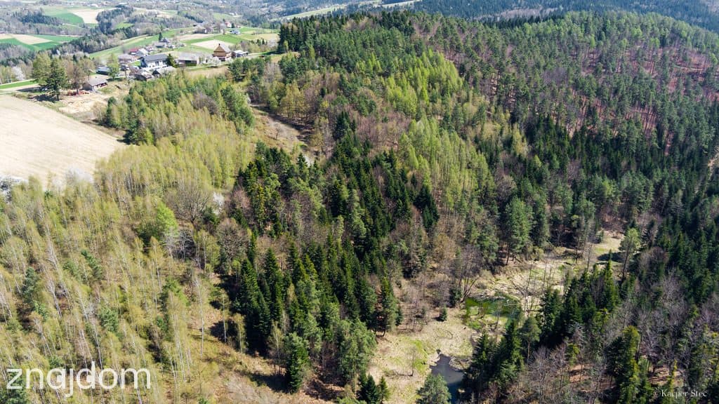 Na sprzedaż gospodarstwo rolne w Jastrzębi - zdjęcie 4