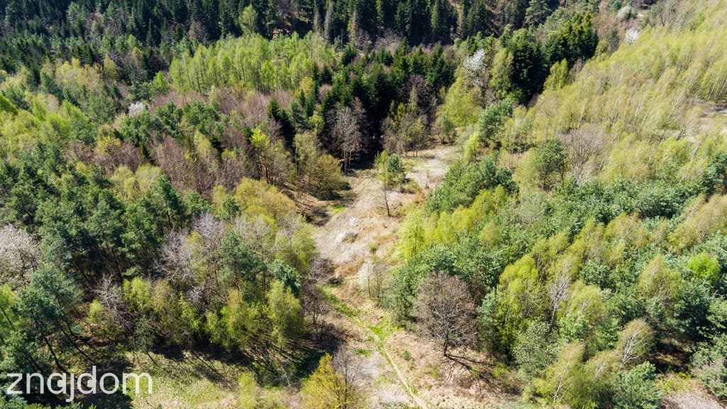 Na sprzedaż gospodarstwo rolne w Jastrzębi - zdjęcie 6