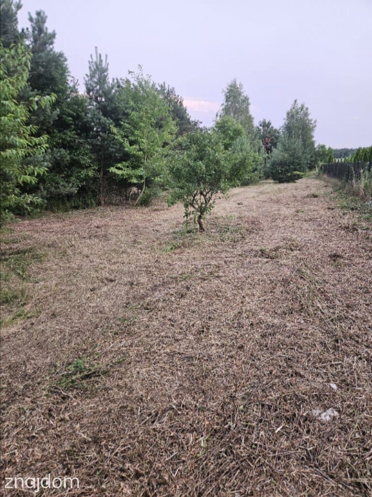 Działka rolno-budowlana 1,52 ha Dąbrowa gm. Ludwin - zdjęcie 2