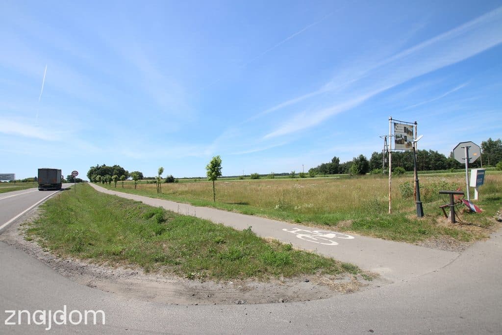 Działka usługowa min 20ar max 50ar  Pałecznica Kol - zdjęcie 12