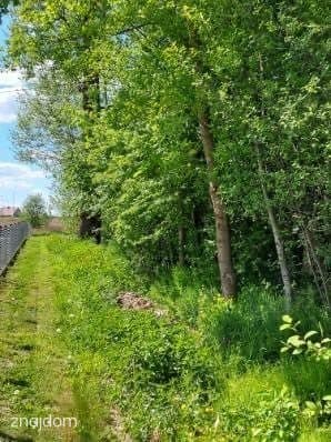 Działka budowlana w miejscowości Mokrzyska-Bucze - zdjęcie 10