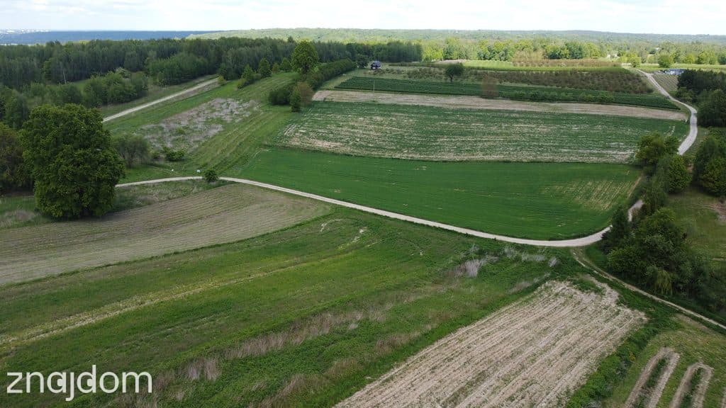 Działka 8713 m2 (piękny widok) w Kazimierzy Dolnym - zdjęcie 4