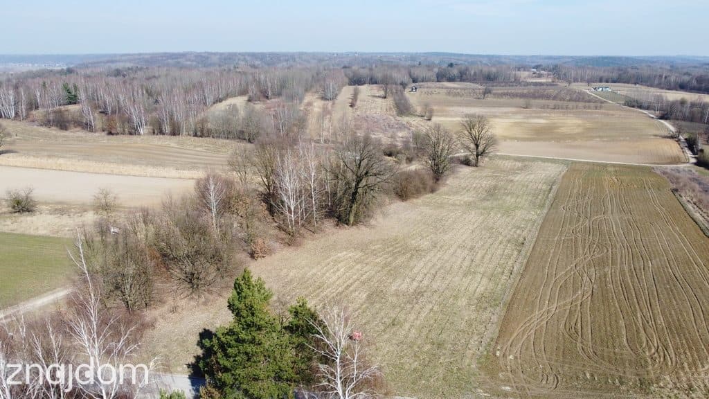 Działka 8713 m2 (piękny widok) w Kazimierzy Dolnym - zdjęcie 9