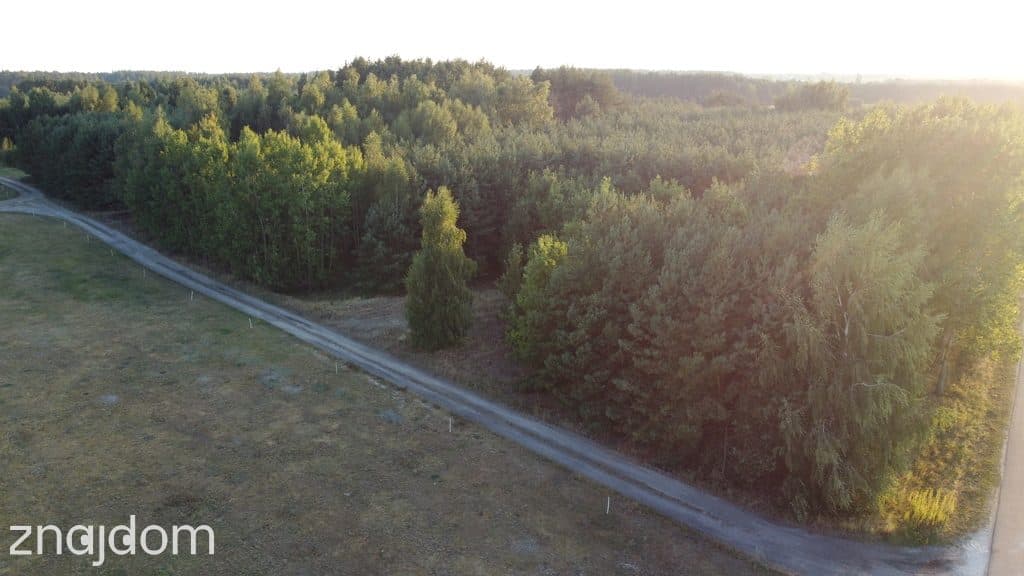 Dom na dużej działce w Świesielicach gm. Ciepielów - zdjęcie 4
