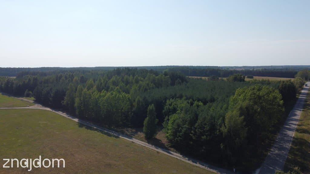 Dom na dużej działce w Świesielicach gm. Ciepielów - zdjęcie 5