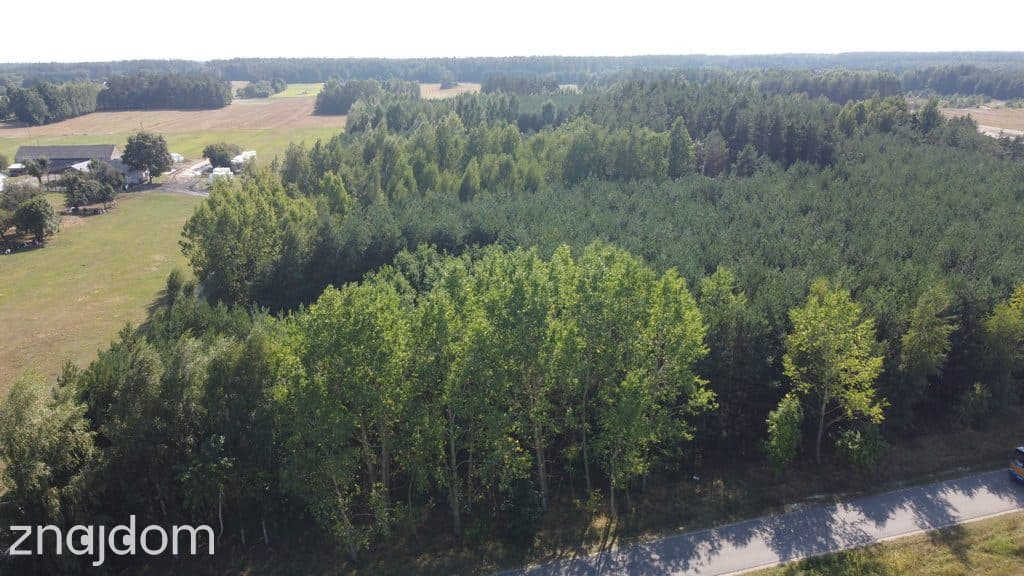 Dom na dużej działce w Świesielicach gm. Ciepielów - zdjęcie 6