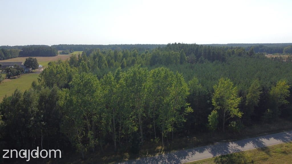 Dom na dużej działce w Świesielicach gm. Ciepielów - zdjęcie 7