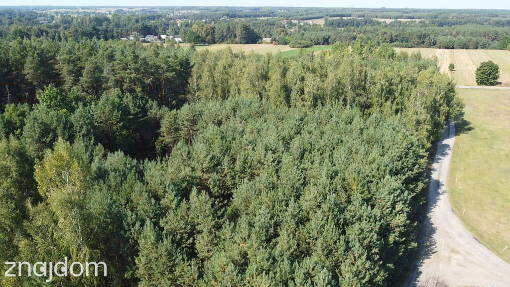 Dom na dużej działce w Świesielicach gm. Ciepielów - zdjęcie 8
