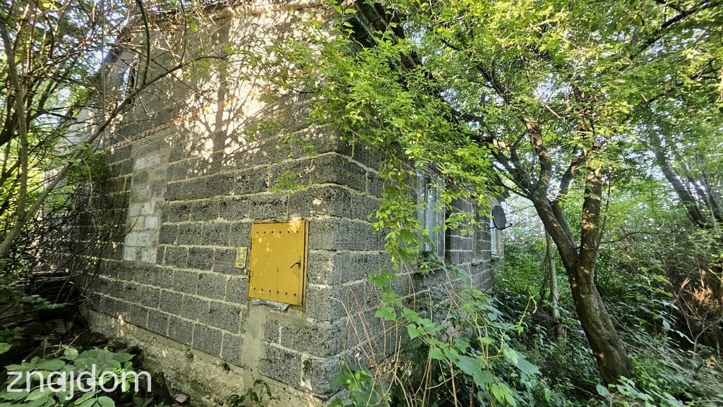Siedlisko nad Wisłą- Laskówka Delastowska - zdjęcie 5