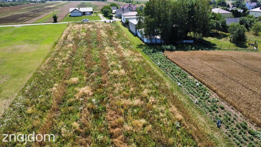 Działka budowlana 851 m2  Gołąb gm. Puławy. - zdjęcie 3