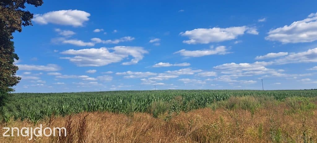 Miłków Kolonia. Piękna działka budowlana! - zdjęcie 2