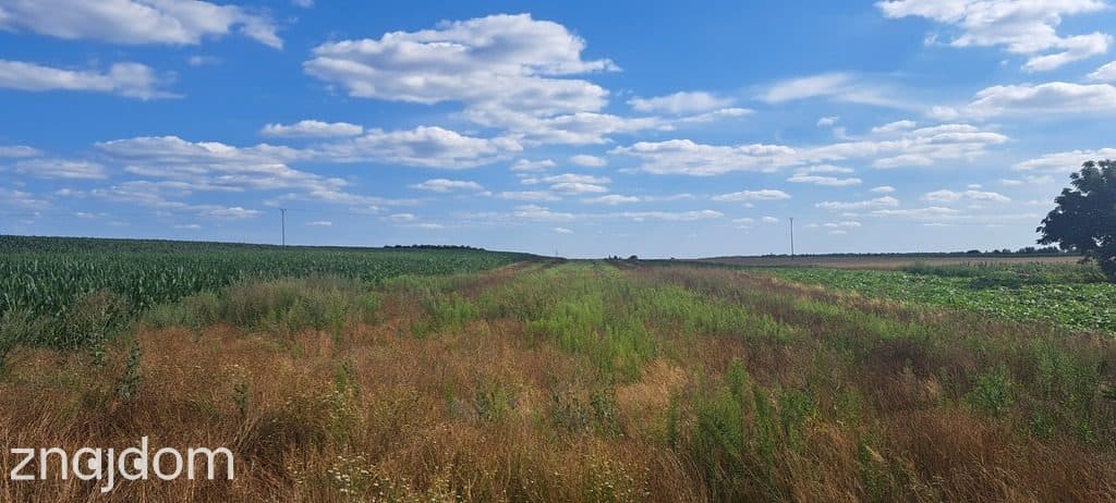 Miłków Kolonia. Piękna działka budowlana! - zdjęcie 3