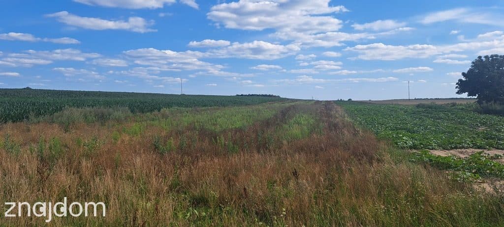 Miłków Kolonia. Piękna działka budowlana! - zdjęcie 4