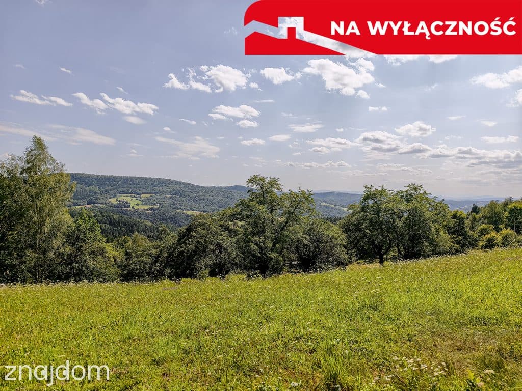 Działka z Wz Olszowa, TANIO ! - zdjęcie 2