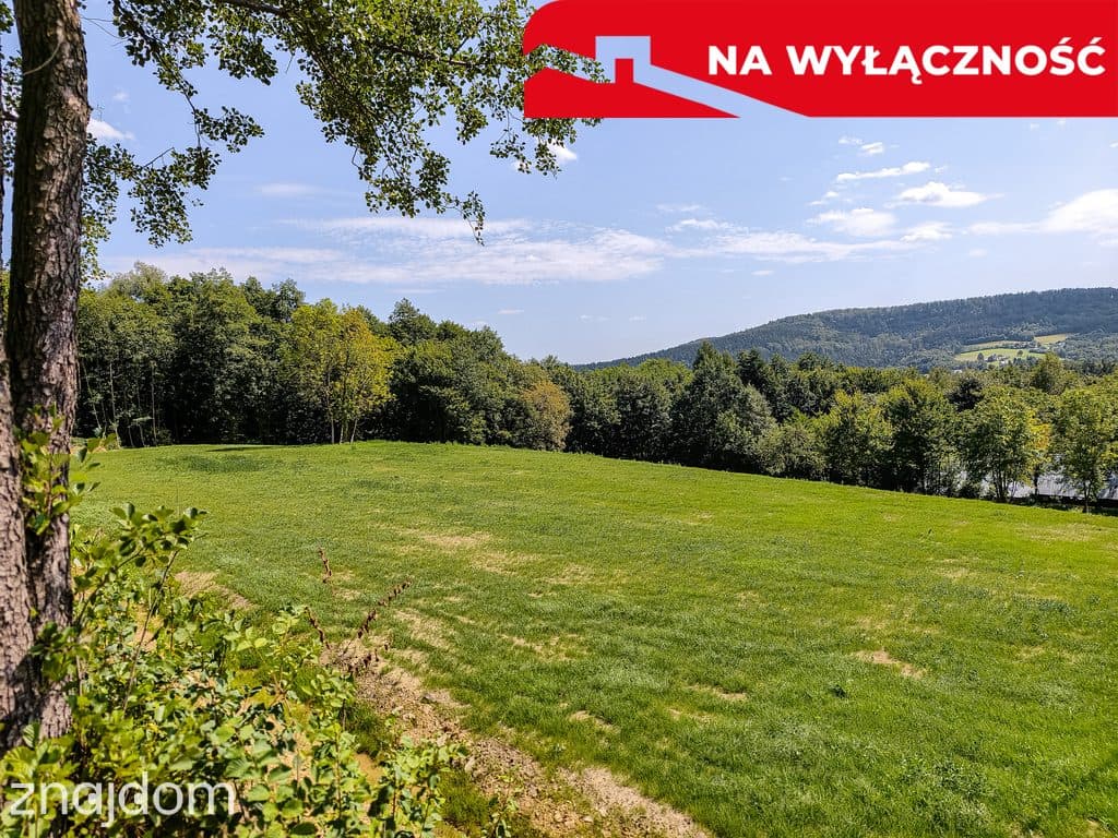 Działka z Wz Olszowa, TANIO ! - zdjęcie 3
