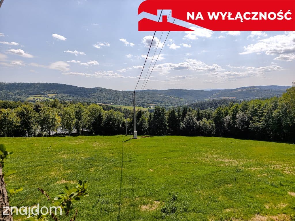 Działka z Wz Olszowa, TANIO ! - zdjęcie 4