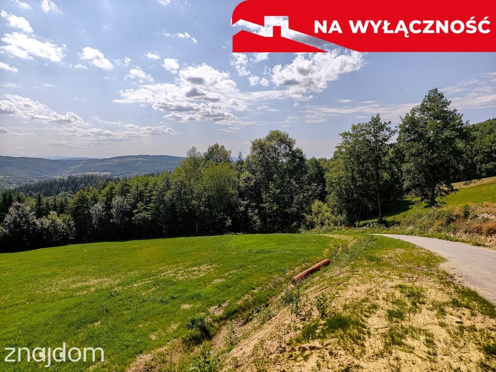 Działka z Wz Olszowa, TANIO ! - zdjęcie 5