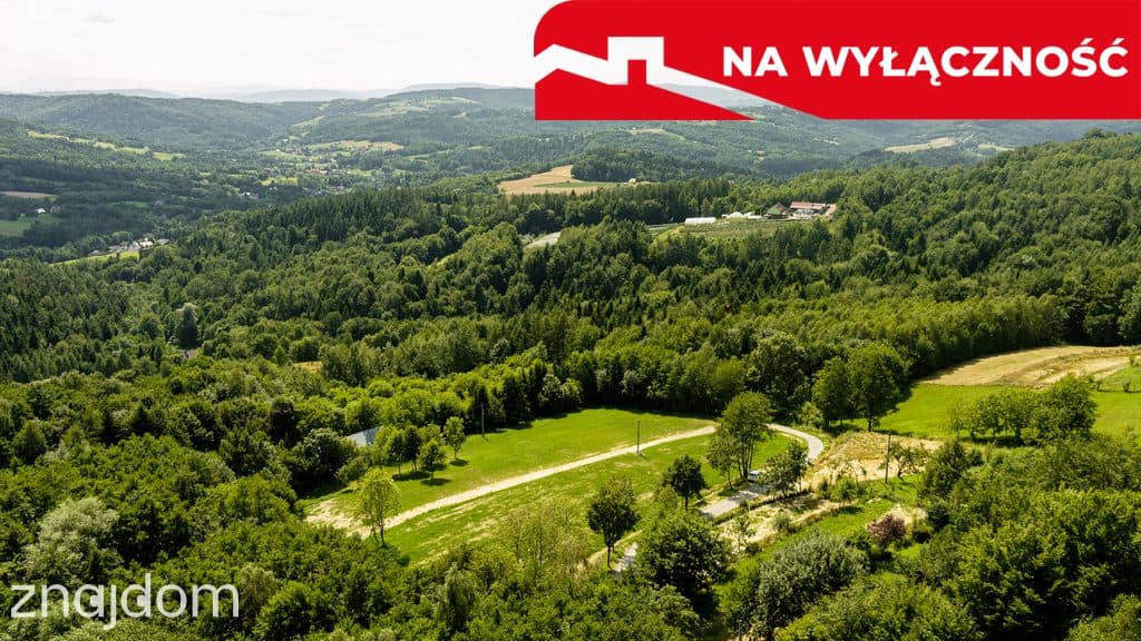 Działka z Wz Olszowa, TANIO ! - zdjęcie 10