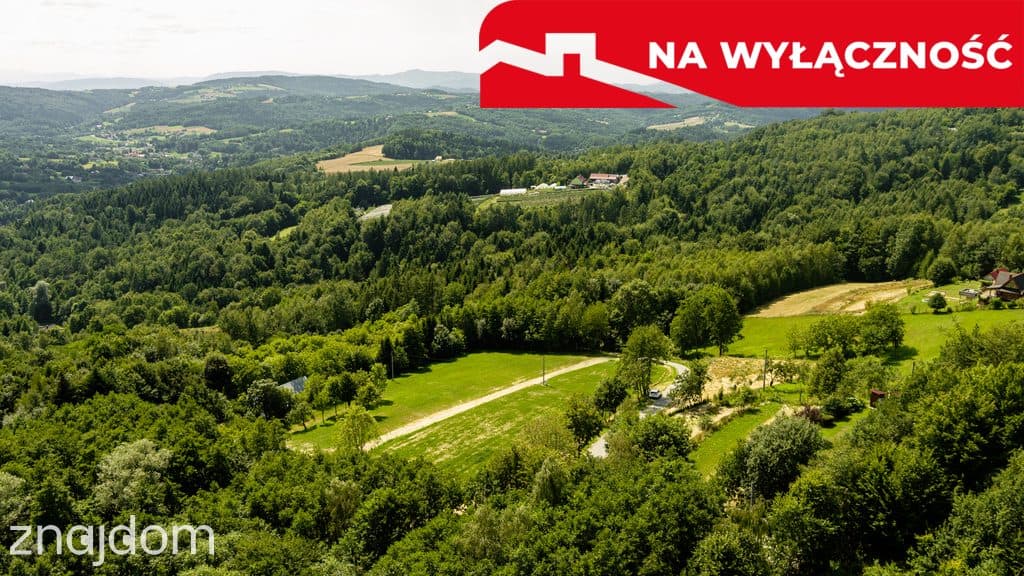Działka z Wz Olszowa, TANIO ! - zdjęcie 11