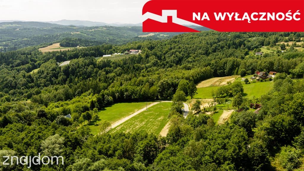 Działka z Wz Olszowa, TANIO ! - zdjęcie 12