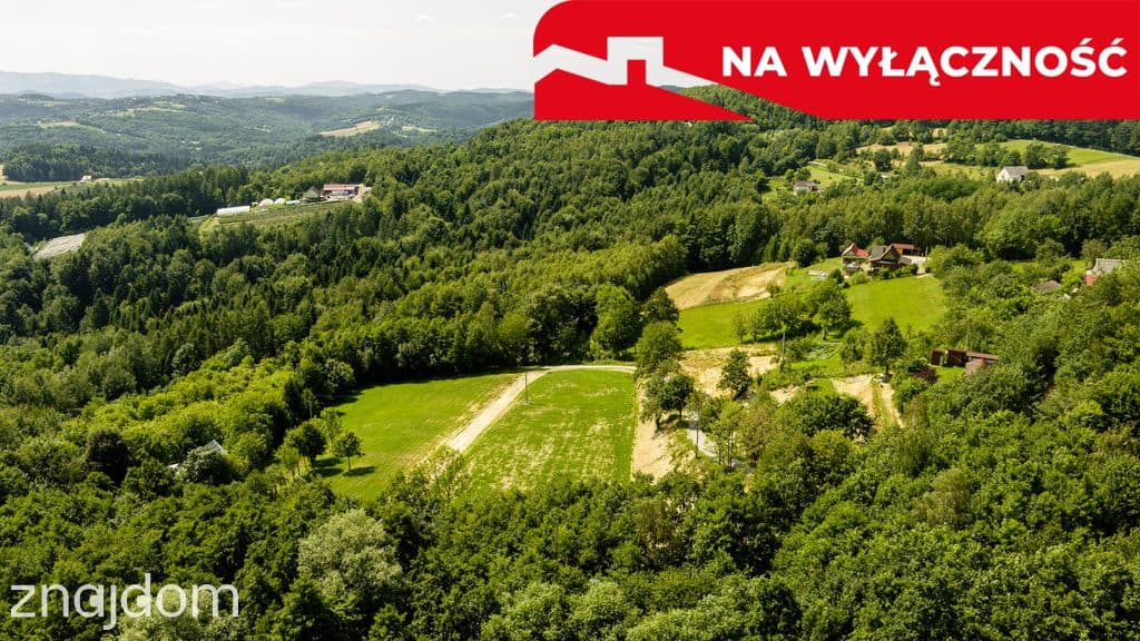 Działka z Wz Olszowa, TANIO ! - zdjęcie 13