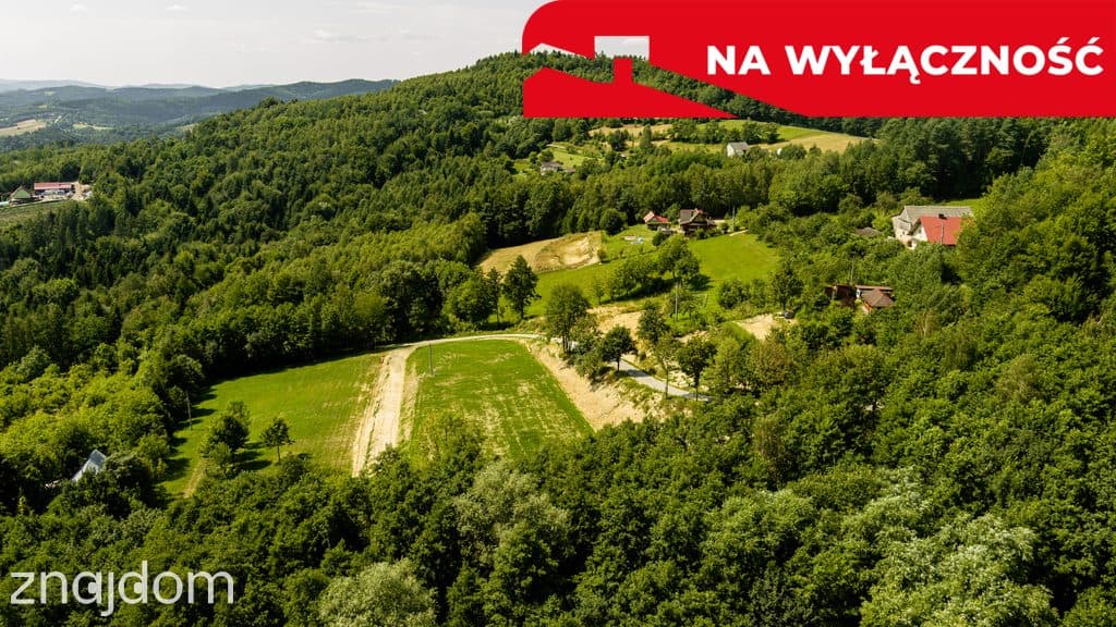 Działka z Wz Olszowa, TANIO ! - zdjęcie 14